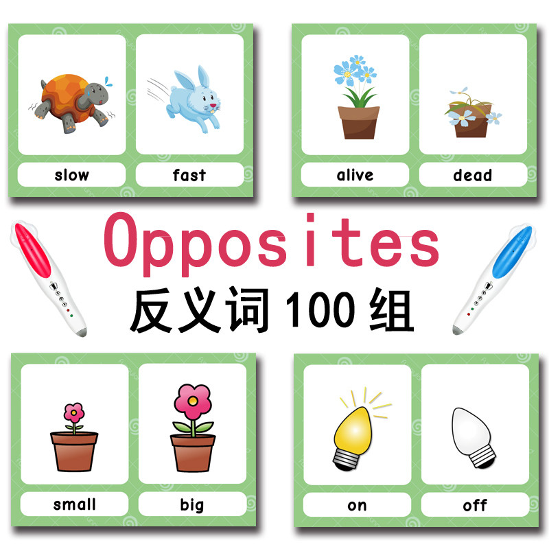 The 100 Groups Opposites Flash - Kids Toys Learning review and price
