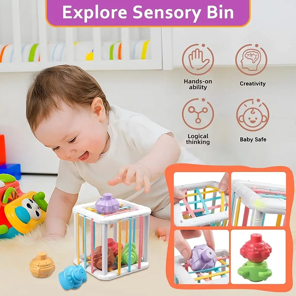 Rainbow Colorful Montessori Sh - Kids Toys Learning review and price