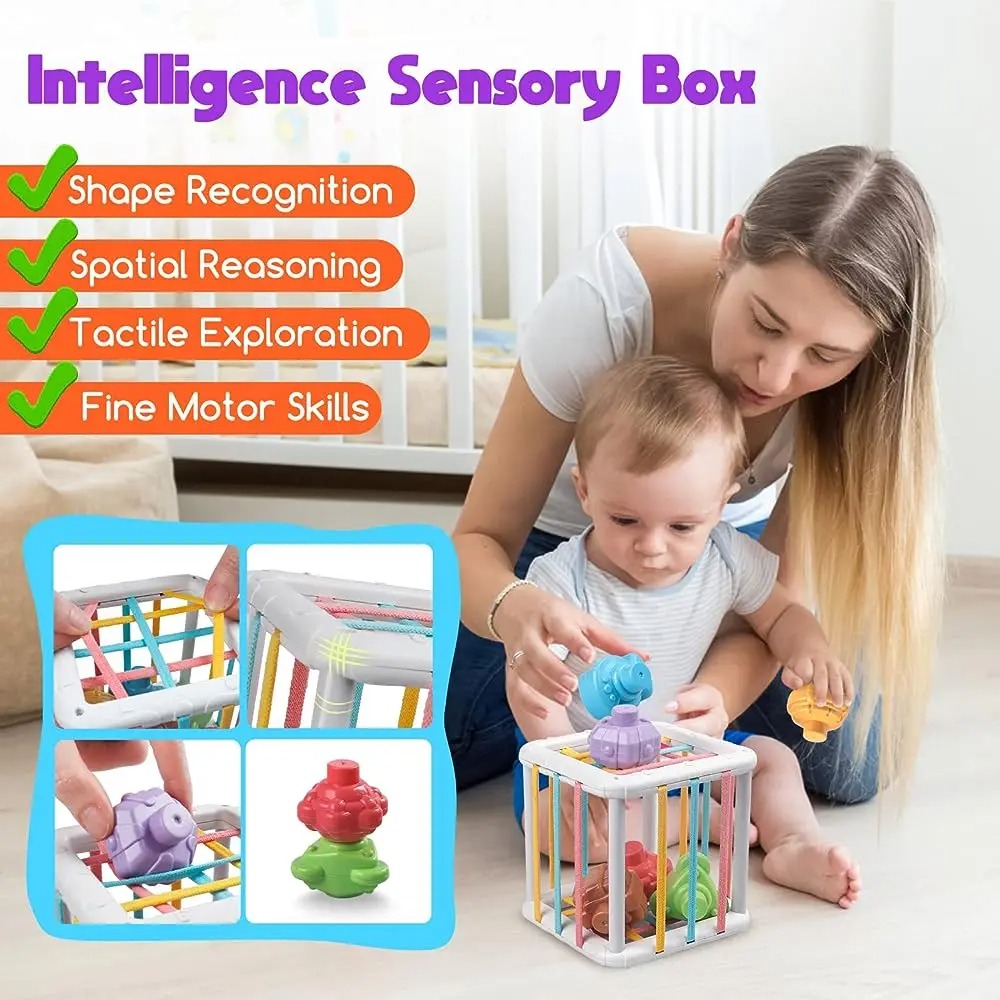 Rainbow Colorful Montessori Sh - Kids Toys Learning review and price